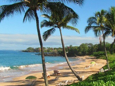 Golden sand beach with palm trees in Wailea, South Maui